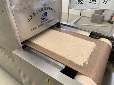 微波設(shè)備烘干白芝麻香味濃郁、用途廣泛 