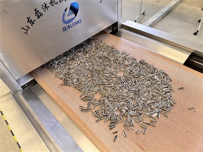 對于瓜子熟化，炒貨機和微波烘烤設(shè)備有哪些異同點呢
