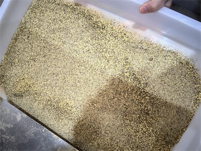 雜糧粉、代餐粉利用微波設(shè)備進行干燥殺菌過程