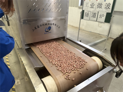 由微波烘烤設(shè)備引發(fā)的產(chǎn)業(yè)變革，改變了花生米的加工方式