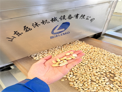 從多個維度詳細(xì)分析隧道式花生米微波烘烤設(shè)備的優(yōu)勢